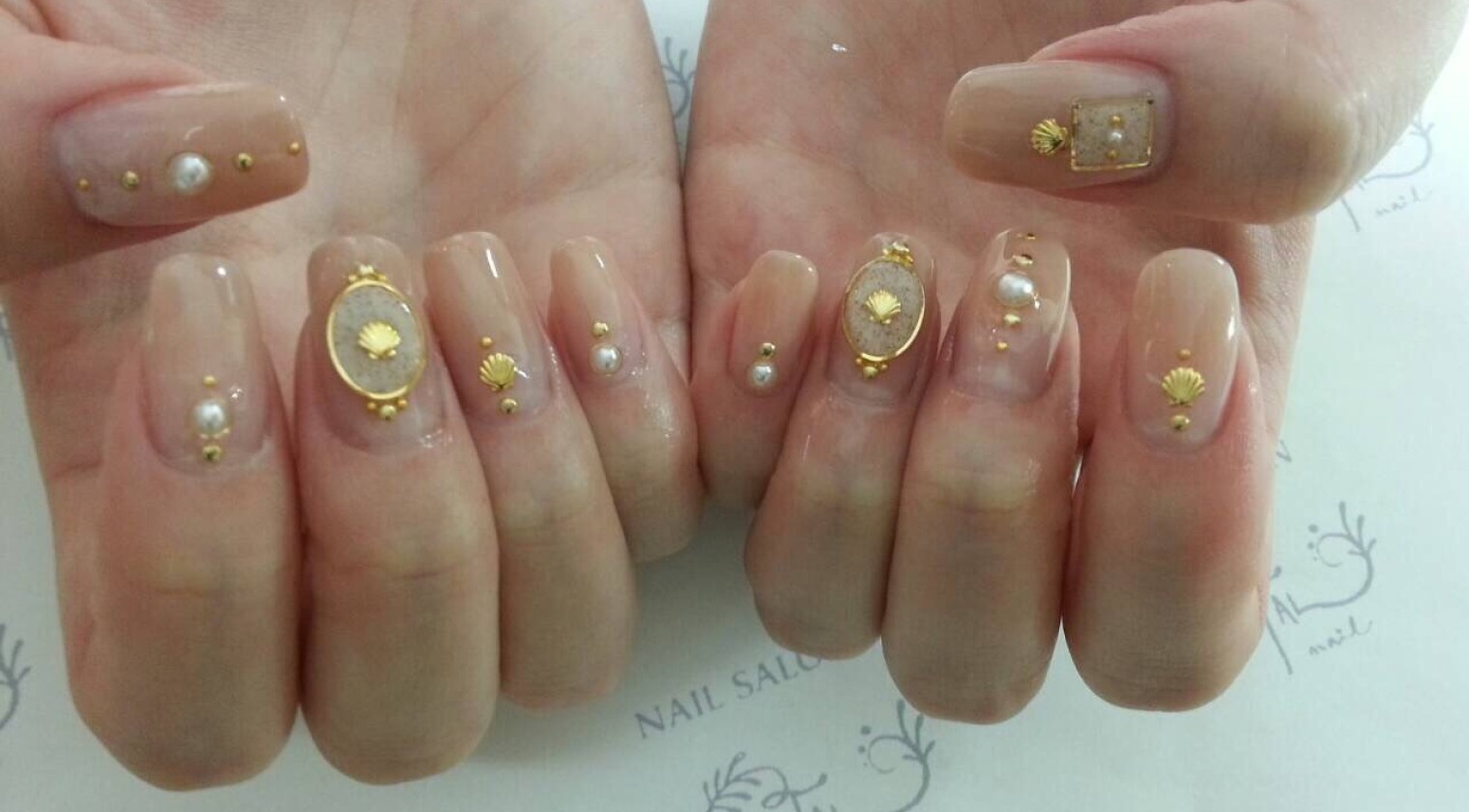 34  エレガントシェル